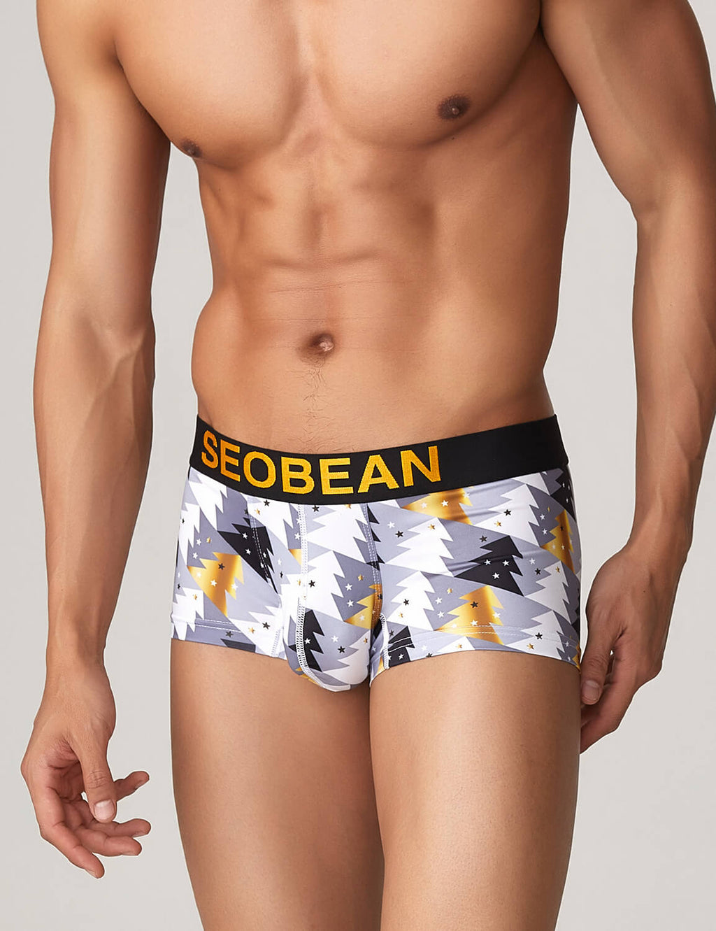 Seobean Men's Sexy Underwear Comfortable Cotton Briefs Men Bikini