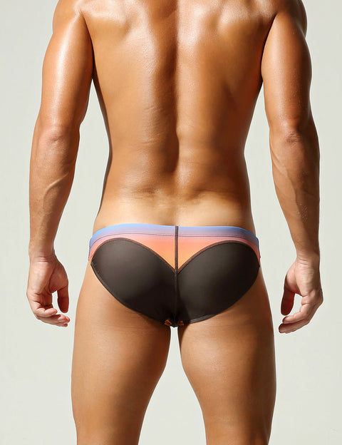 Sunset Gradient Low Rise Swim Briefs 260904