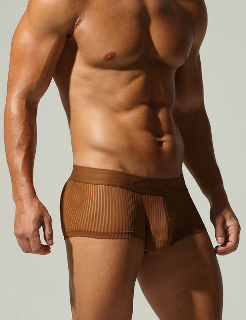 Mesh Low Rise Boxer Briefs 250218