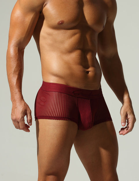 Mesh Low Rise Boxer Briefs 250218