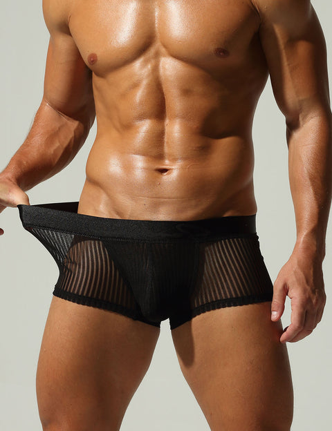 Mesh Low Rise Boxer Briefs 250218