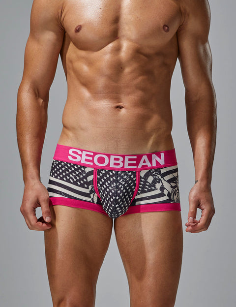 Statue of Liberty Boxer Brief 250206