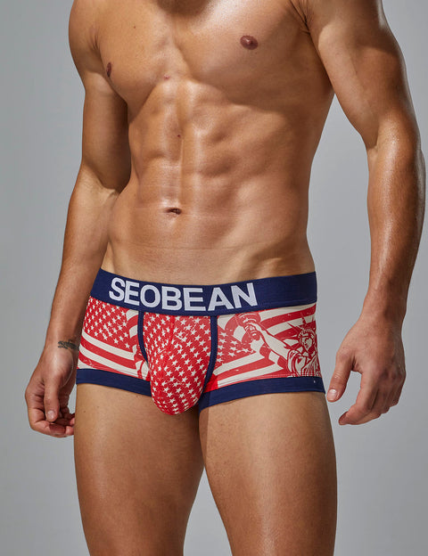 Statue of Liberty Boxer Brief 250206