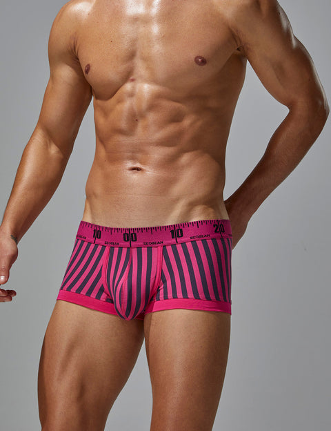 Stripe Boxer Brief 240211