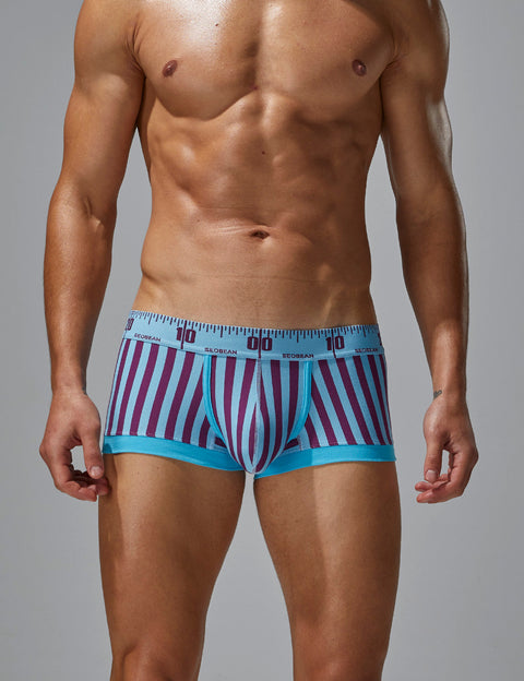 Stripe Boxer Brief 240211