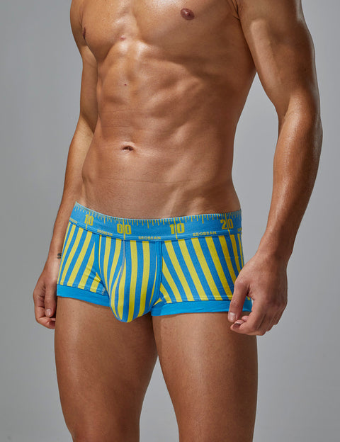 Stripe Boxer Brief 240211