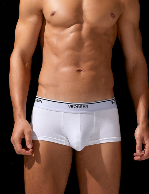 Solid Boxer Brief 250202