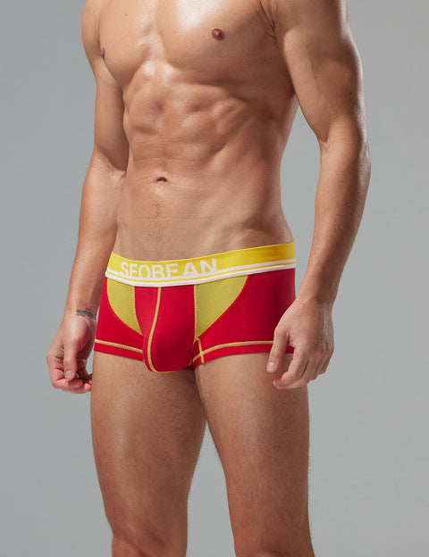 Mesh Boxer Briefs 250212