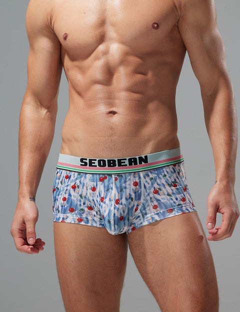Whimsical Cherry Boxer Brief 250211 Blue