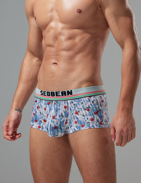 Whimsical Cherry Boxer Brief 250211 Blue