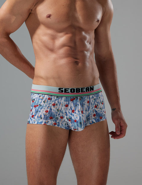 Whimsical Cherry Boxer Brief 250211 Blue