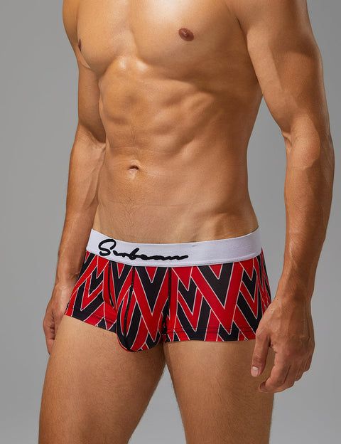 Geometric Print Boxer Briefs 260203