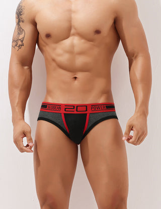 Low Rise Sexy Briefs 10101