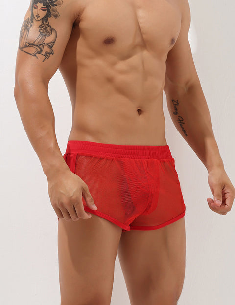 Sexy Mesh Trunks 00604