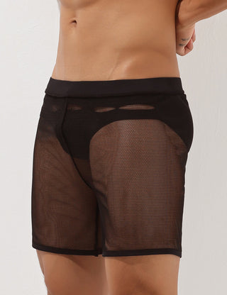 Sexy Mesh Shorts 00605