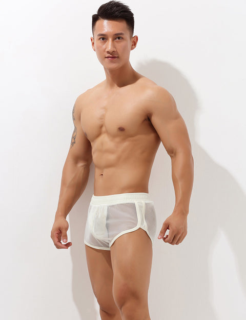 Sexy Mesh Trunks 00604