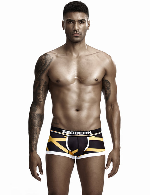 Low Rise Sexy Stripe Boxer Brief 90224