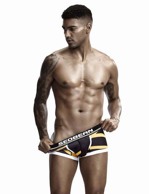 Low Rise Sexy Stripe Boxer Brief 90224