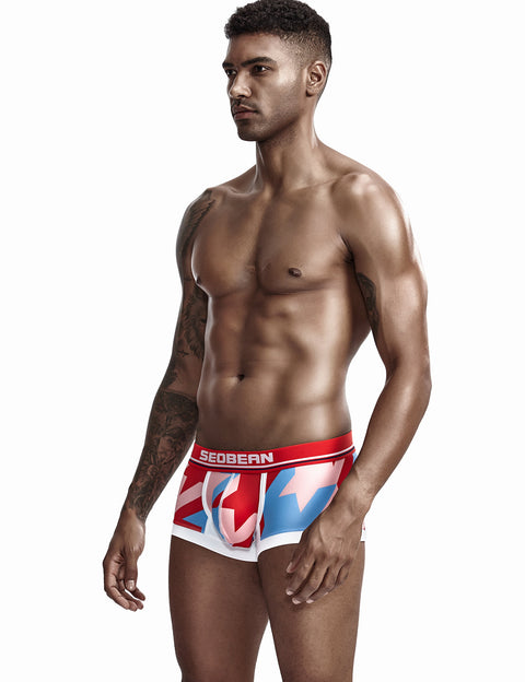 Low Rise Sexy Visual Arts Boxer Brief 90225