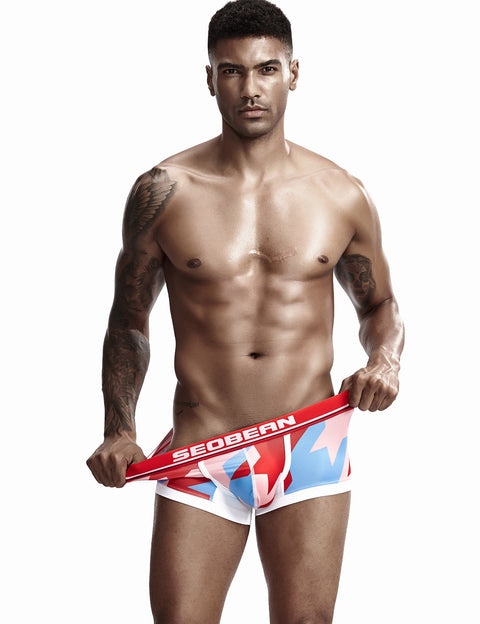 Low Rise Sexy Visual Arts Boxer Brief 90225