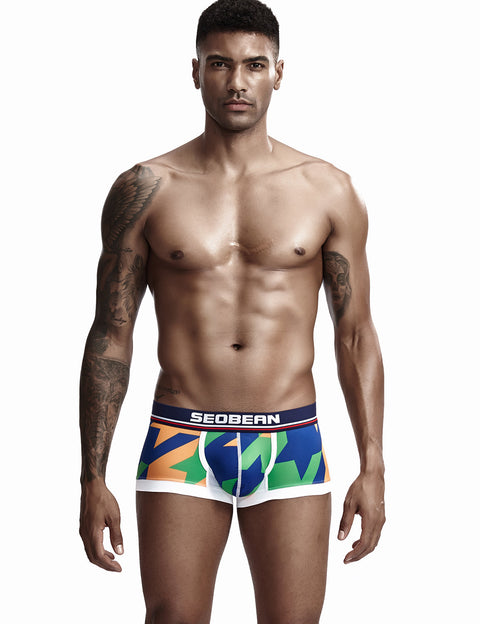 Low Rise Sexy Visual Arts Boxer Brief 90225