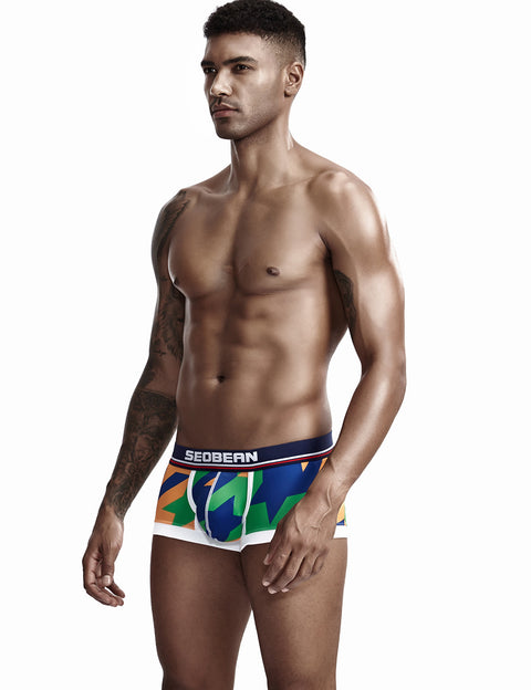 Low Rise Sexy Visual Arts Boxer Brief 90225