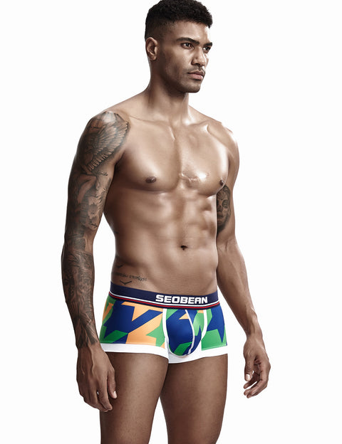 Low Rise Sexy Visual Arts Boxer Brief 90225