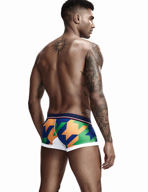 Low Rise Sexy Visual Arts Boxer Brief 90225