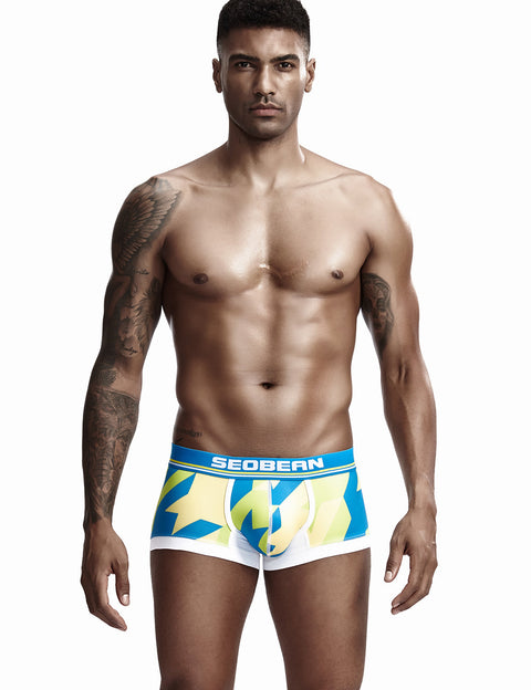 Low Rise Sexy Visual Arts Boxer Brief 90225