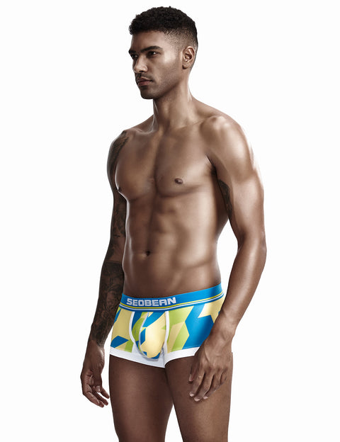 Low Rise Sexy Visual Arts Boxer Brief 90225