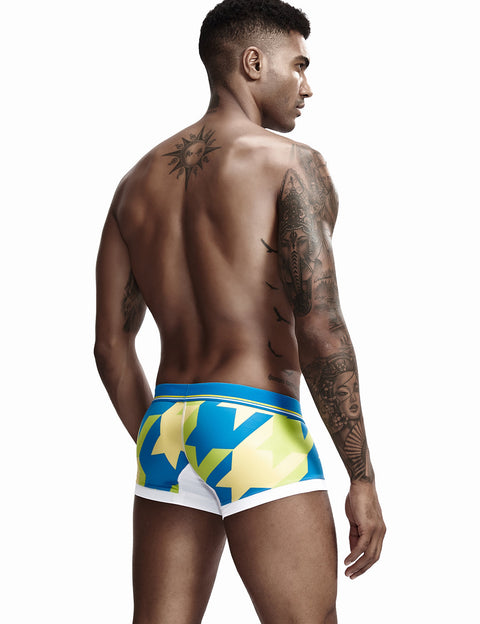 Low Rise Sexy Visual Arts Boxer Brief 90225