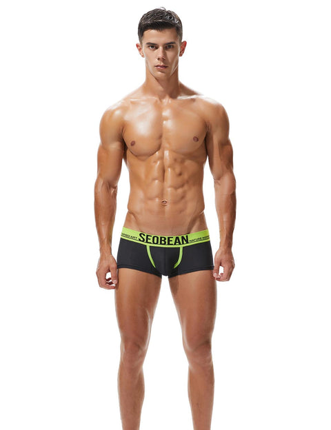 Low Rise Nylon Mesh Boxer Brief 90204