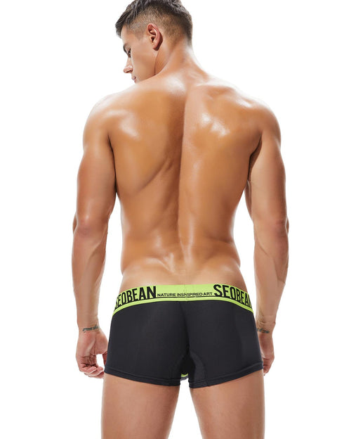 Low Rise Nylon Mesh Boxer Brief 90204