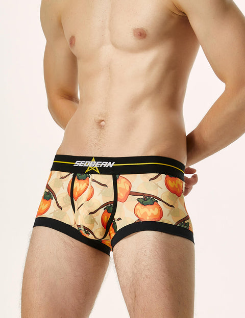 Pumpkin Boxer Brief 220203