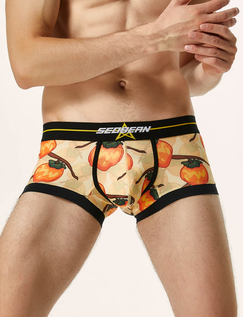 Pumpkin Boxer Brief 220203