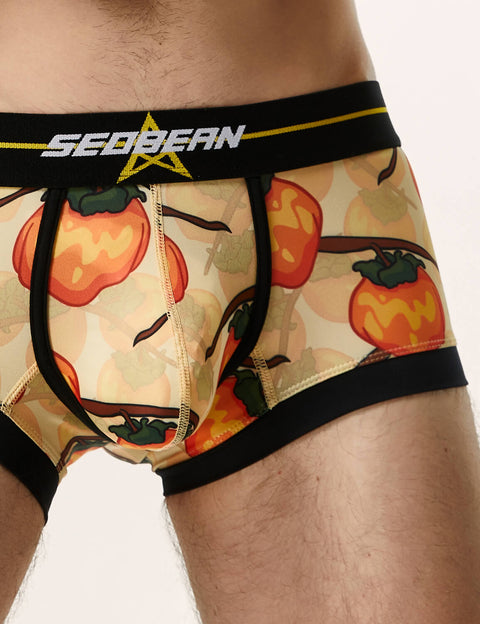 Pumpkin Boxer Brief 220203