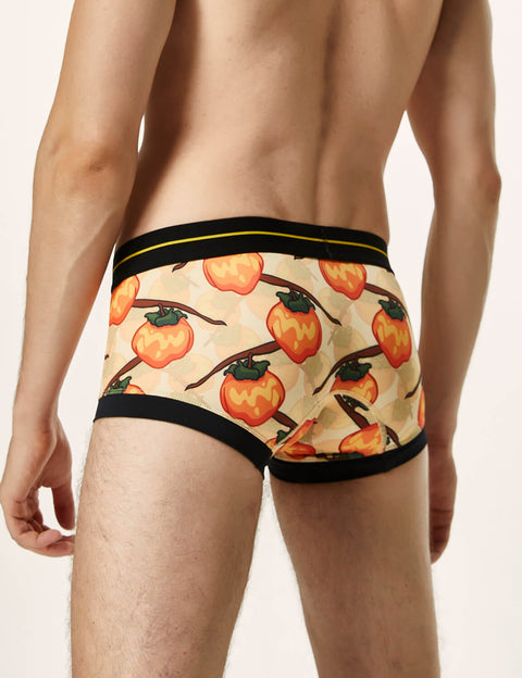 Pumpkin Boxer Brief 220203