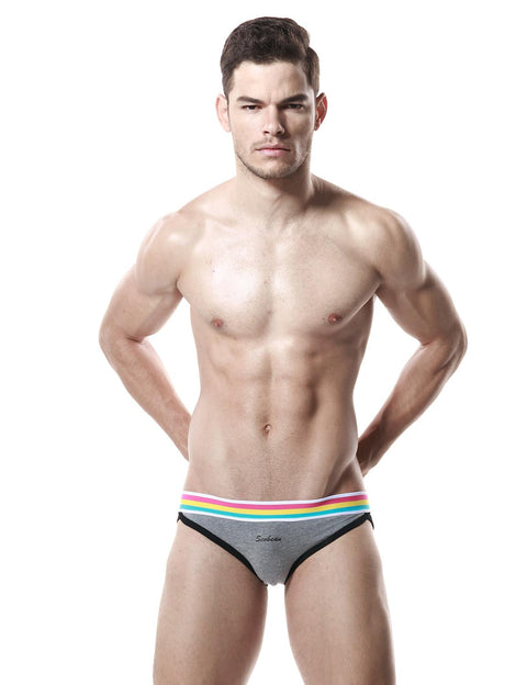 Low Rise Sexy Brief Rainbow 60101