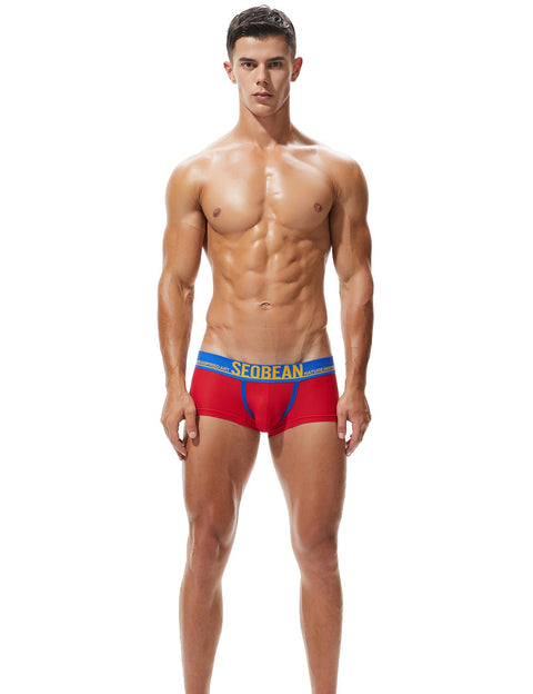 Low Rise Nylon Mesh Boxer Brief 90204