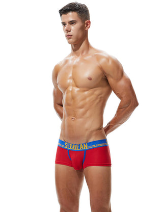 SEOBEAN Mens Low Rise Sexy Nylon Mesh Trunks Boxer Briefs Underwear 90204 –  TAUWELL®