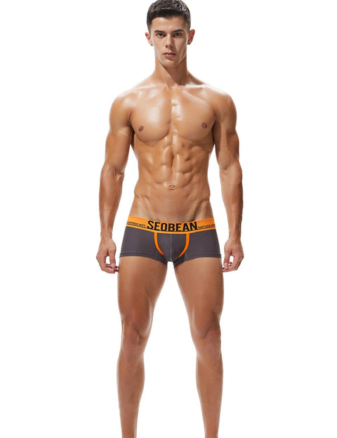 Low Rise Nylon Mesh Boxer Brief 90204