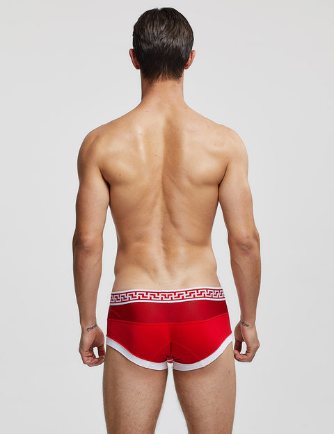 Mesh Nano Boxer Brief 00212