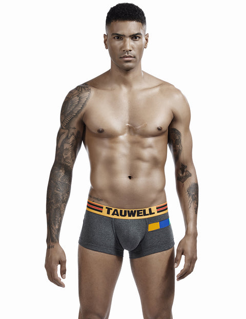 Stitch Color Boxer Brief 0201