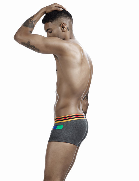 Stitch Color Boxer Brief 0201