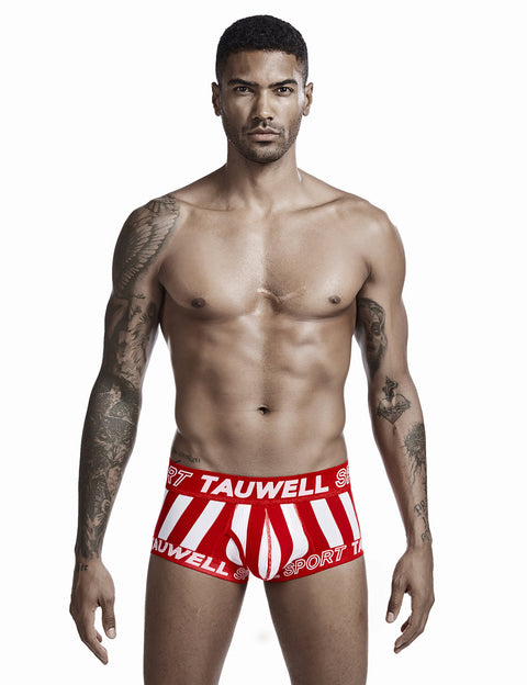 Stripe Boxer Brief 0202