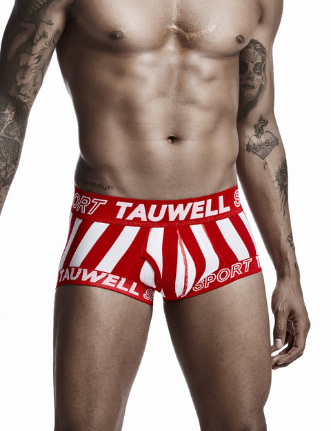 Stripe Boxer Brief 0202