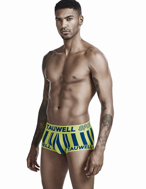 Stripe Boxer Brief 0202