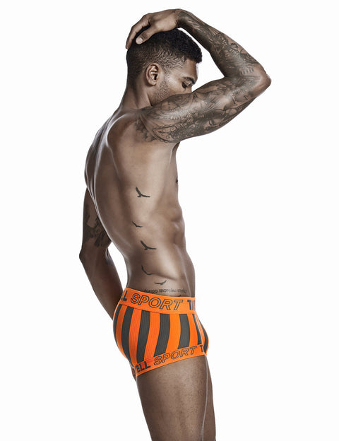 Stripe Boxer Brief 0202