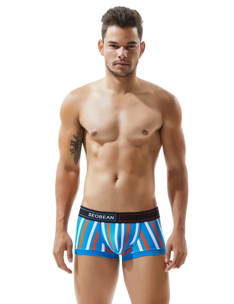 Low Rise Stripe Boxer Brief 80214