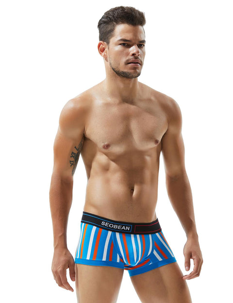 Low Rise Stripe Boxer Brief 80214